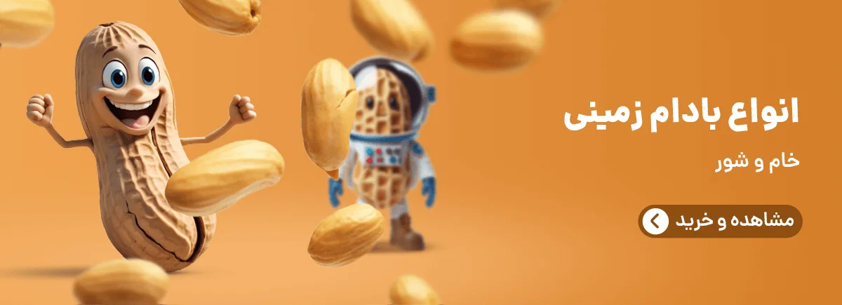بنر دوتایی ۲ کادر محصولات میوه خشک