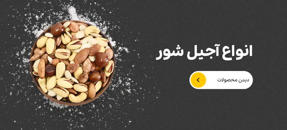 قیمت آجیل شور﻿