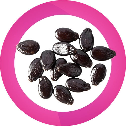 تخمه هندوانه