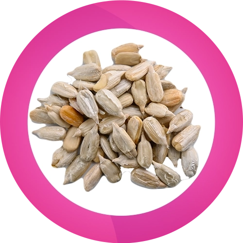 مغز تخمه آفتاب گردان