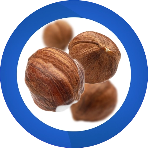 فندق نمکی و شور