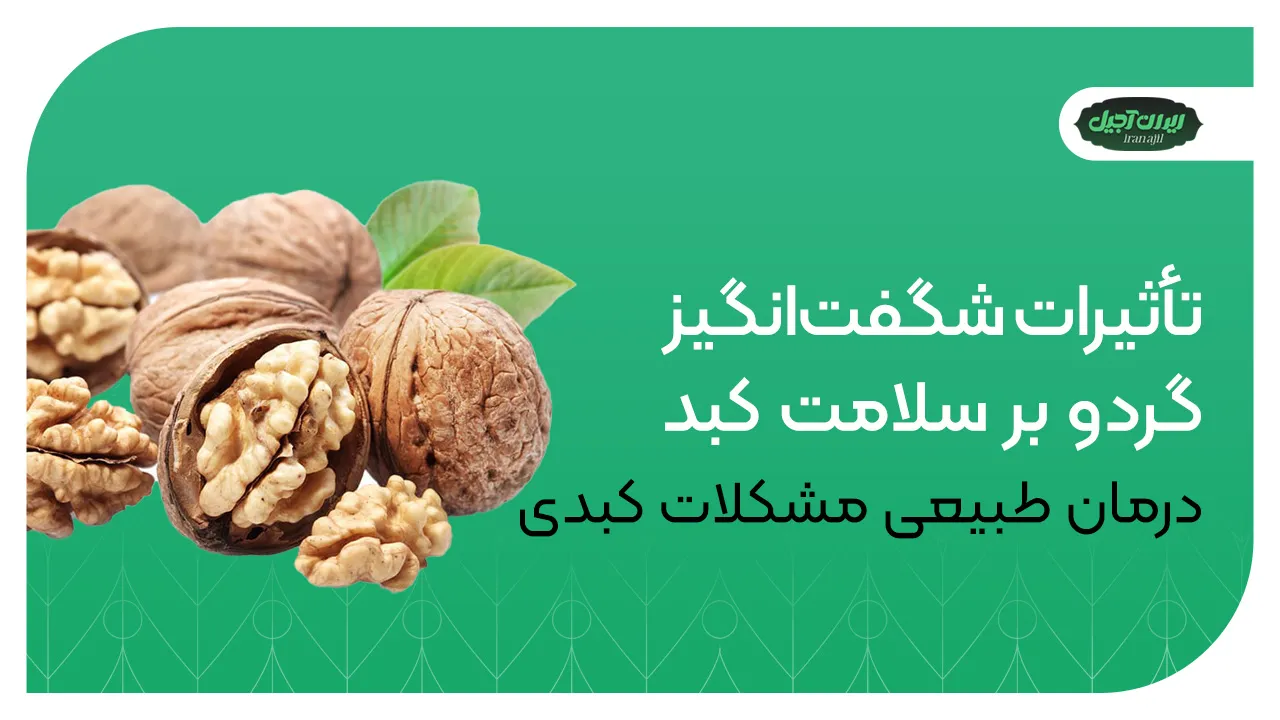 تأثیرات شگفتانگیز گردو بر سلامت کبد | درمان طبیعی مشکلات کبدی