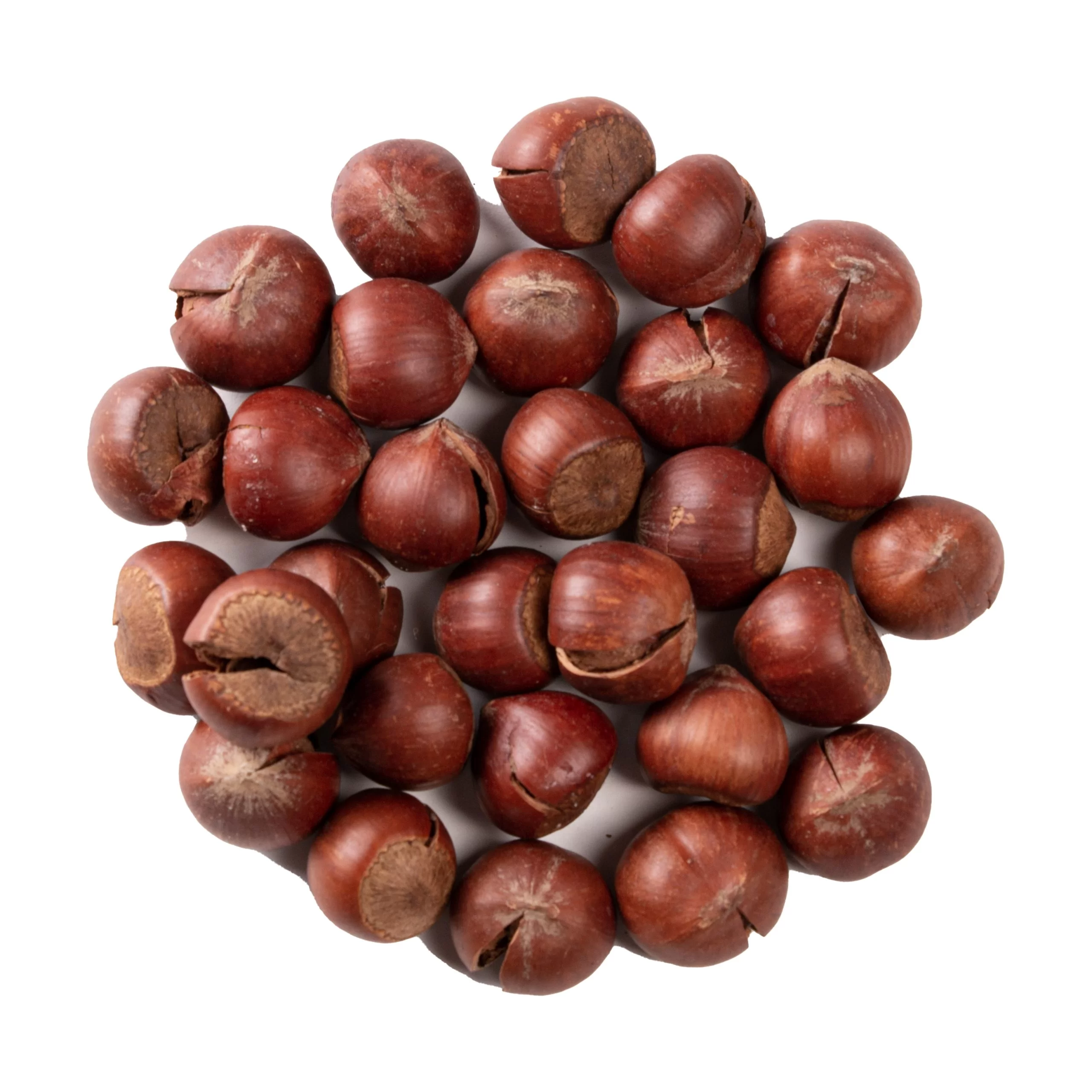فندق خارجی با پوست شور