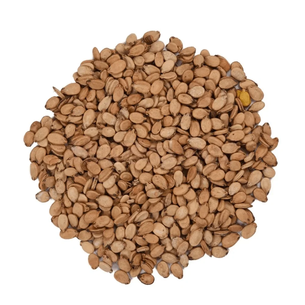 تخمه محبوبی خام