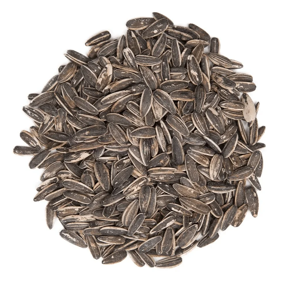 تخمه آفتابگردان دور سفید شور