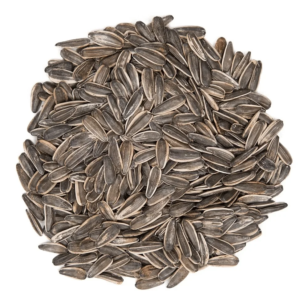 تخمه آفتابگردان دور سفید خام