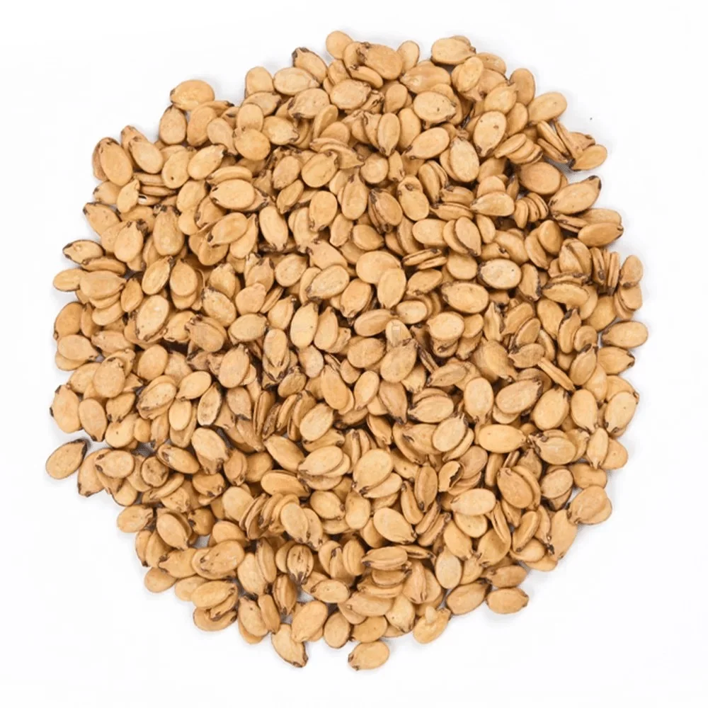 تخمه محبوبی شور