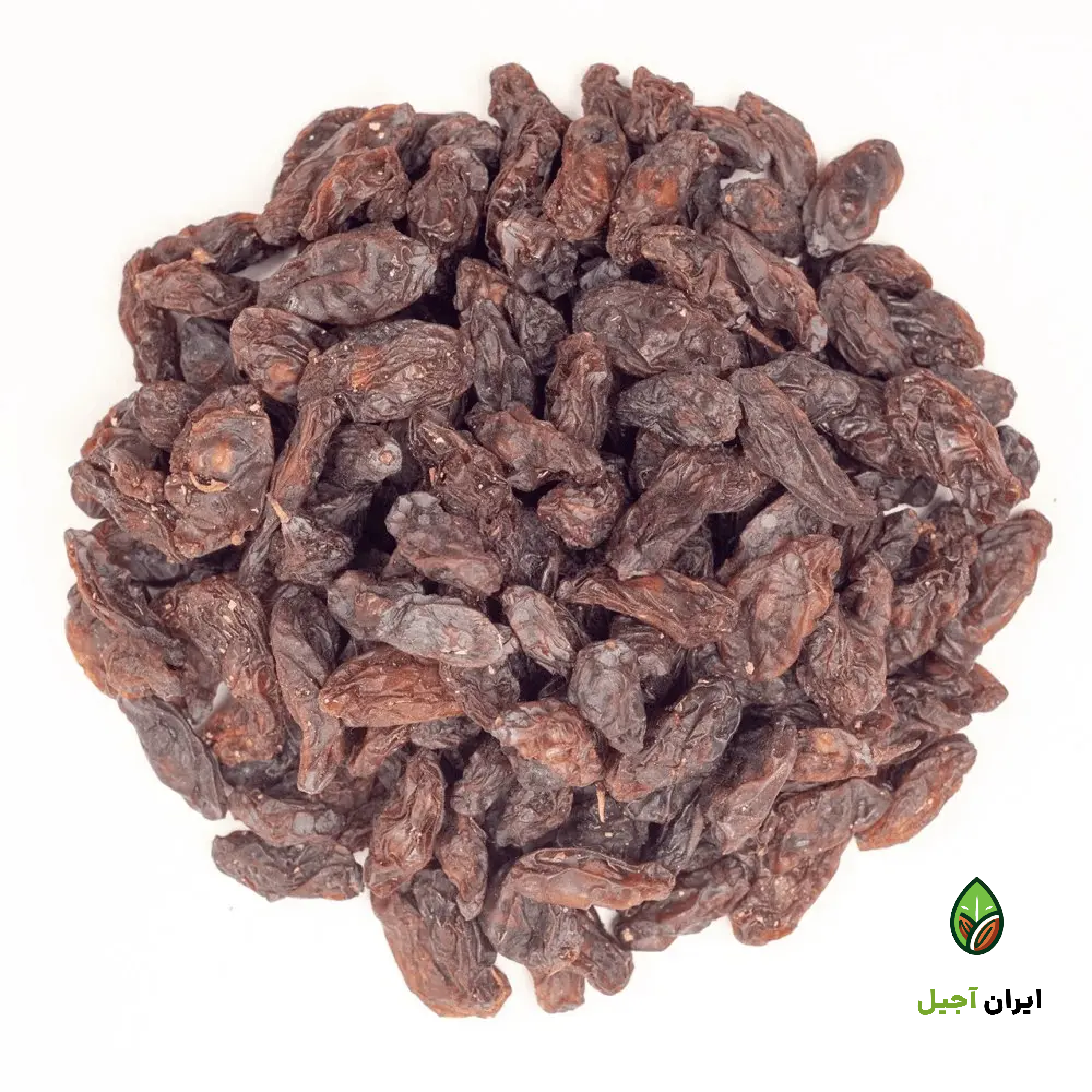 مویز ایرانی شاهانی