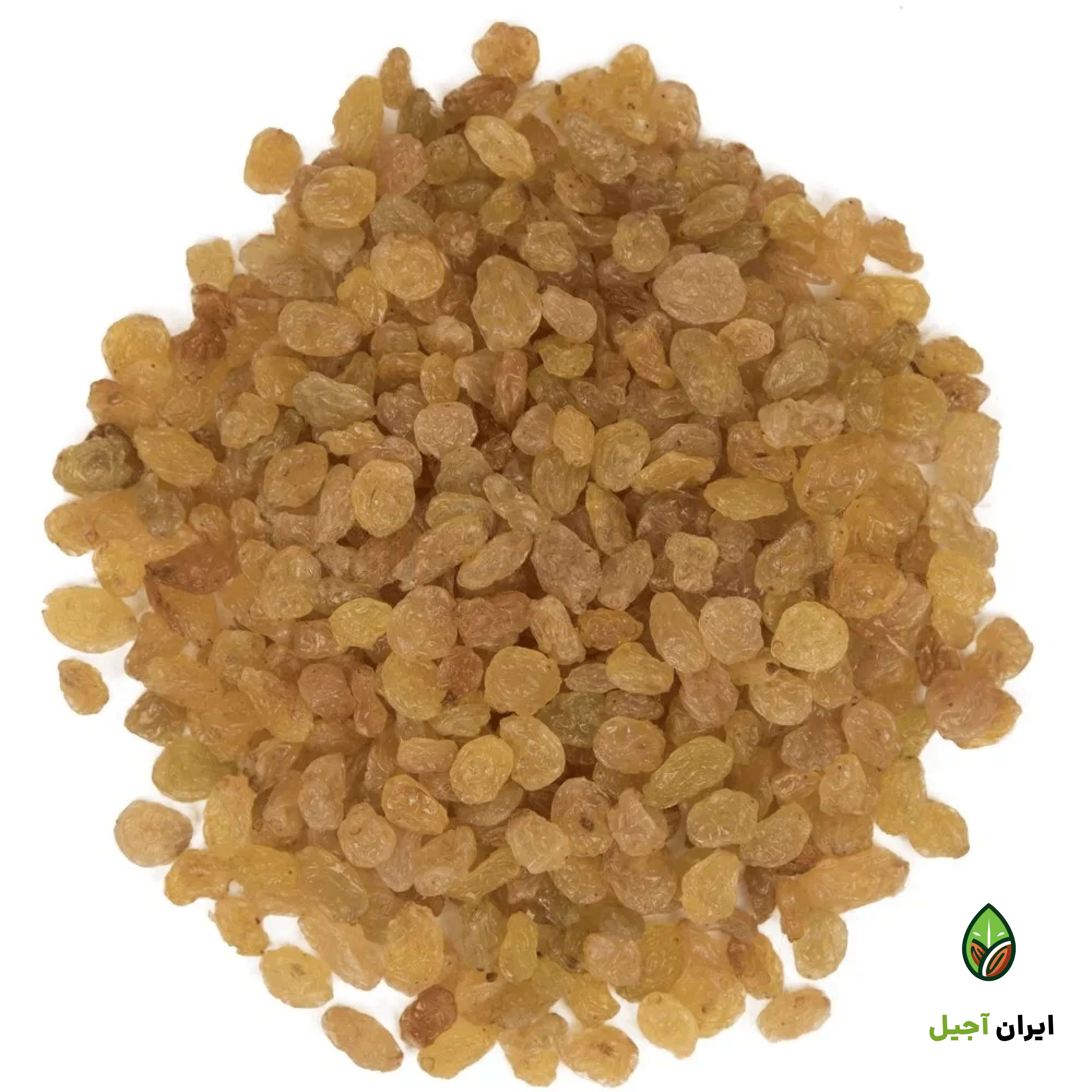 کشمش پلویی طلایی درجه یک